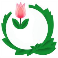 Beautiful pink tulip card
