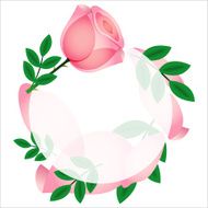 Beautiful pink rose card vector