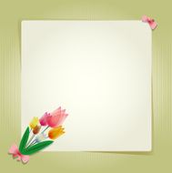 Flower tulip card or background