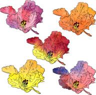 flowers painted by watercolor