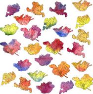 flowers painted by watercolor N2