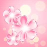 Beautiful pink flower background