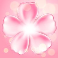 Beautiful pink flower N2