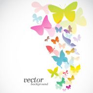 Butterfly design on white background N6