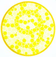 Color blind test -9