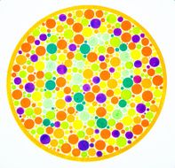 Color blind test -10