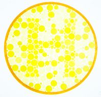 Color blind test -H
