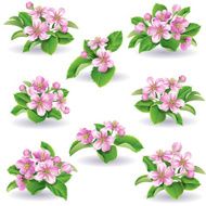 Floral set N10