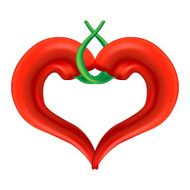Chili pepper heart Passion and Love symbol N3