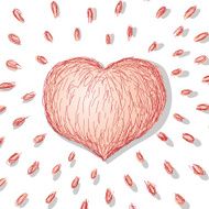 heart N133