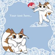 Lovely cats