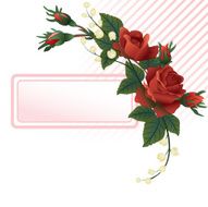 Roses background N5