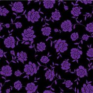 repetition of the rose N34