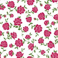 repetition of the rose N37