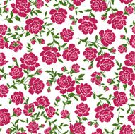 repetition of the rose N40