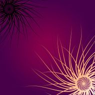 Colored Abstract Backgrounds N5