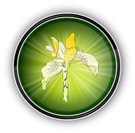 Green Symbol N6