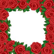 Frame of red roses isolated on white background