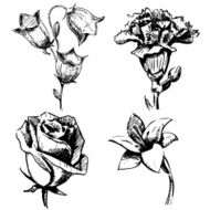 Collection of flowers