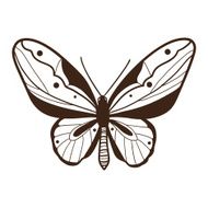 Abstract graphic butterfly isolated on white