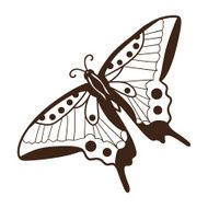 Abstract graphic butterfly isolated on white N2