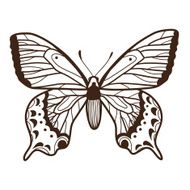 Abstract graphic butterfly isolated on white N4