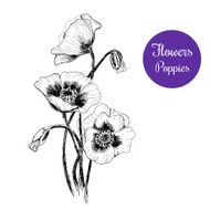 Poppies N9