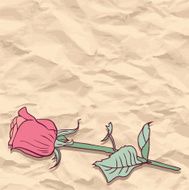 Floral card with roses
