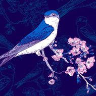 Spring cherry background with birds
