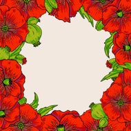 Red poppy flowers - background
