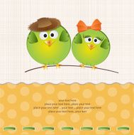 Birds couple in love N2