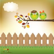 Birds couple in love N12