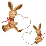 frame of rabbit