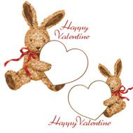 valentine of rabbit