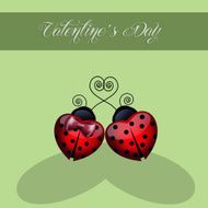 two Ladybugs in love