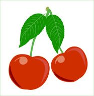 cherry N10
