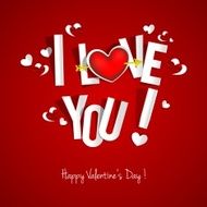 Happy Valentines Day card N96