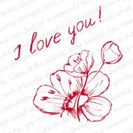 Love Letter N20