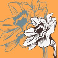 Vintage floral card with daffodil
