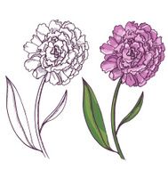 Flower N66
