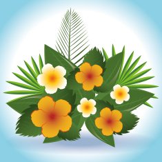 Flowers design vector illustration N19