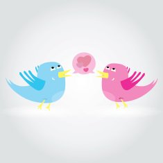 Birds love each other A vector illustration