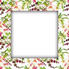 Watercolor flower frame on white background N53