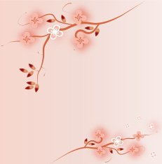 Japanese branch blossom pink background N3