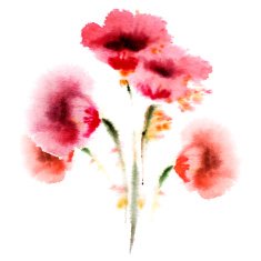 Watercolor Flowers N115