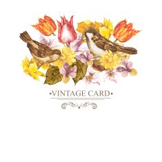 Spring Floral Retro Card with Bird Sparrows N3
