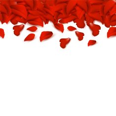 Border of rose petals