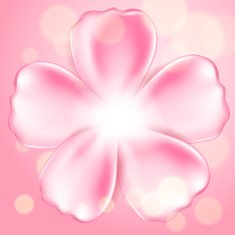 Beautiful pink flower N2