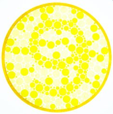 Color blind test -9