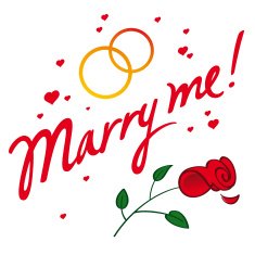 marry me N12
